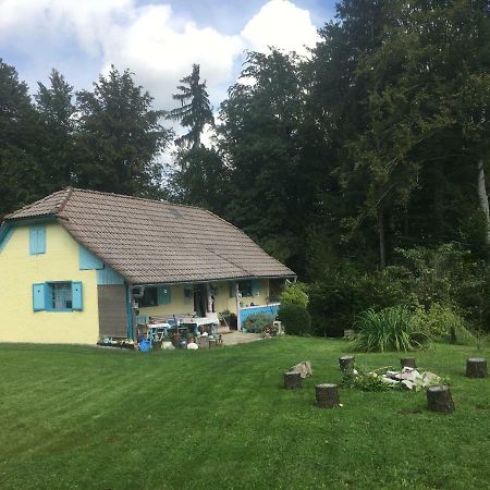 Blue Cottage Podvrh  Dış mekan fotoğraf