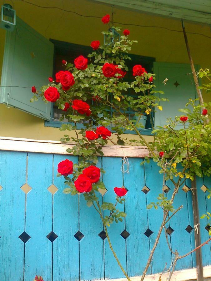 Blue Cottage Podvrh  Dış mekan fotoğraf