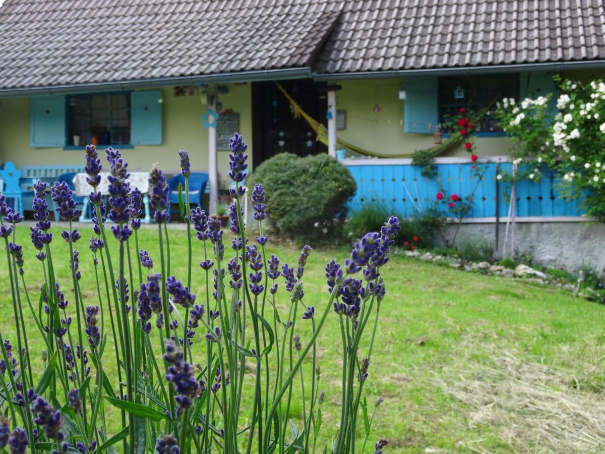 Blue Cottage Podvrh  Dış mekan fotoğraf